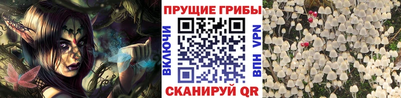 Галлюциногенные грибы Magic Shrooms  kraken как войти  Севастополь 